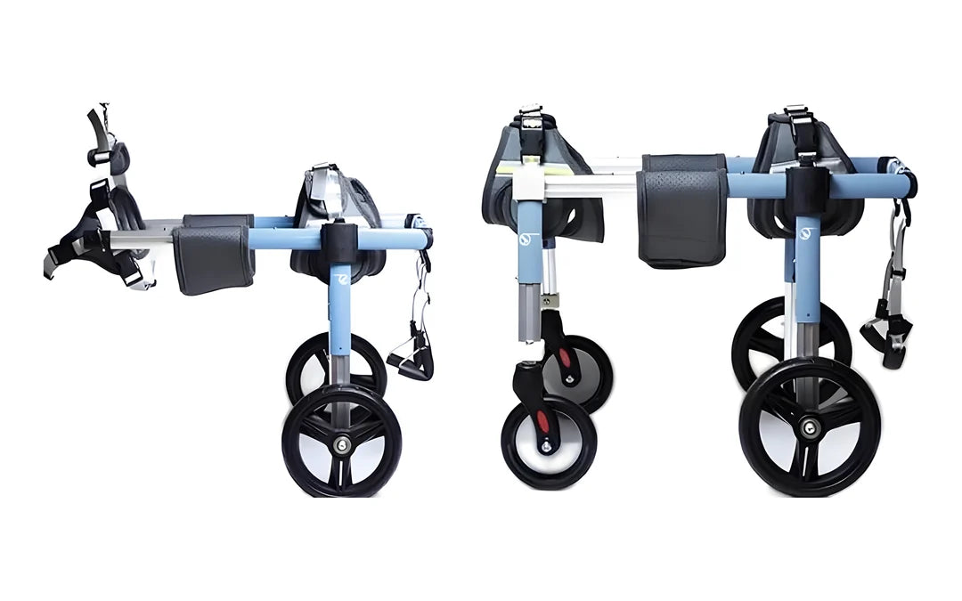 The two-wheel and four-wheel versions side by side, empty