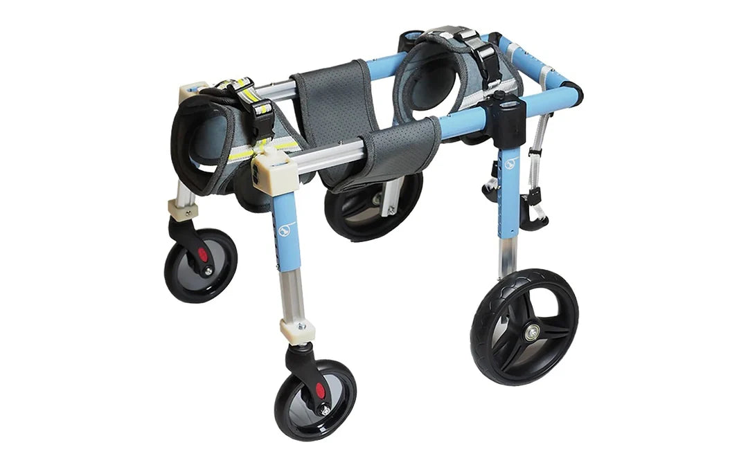 The light-blue four-wheel dog wheelchair, empty, with two front casters