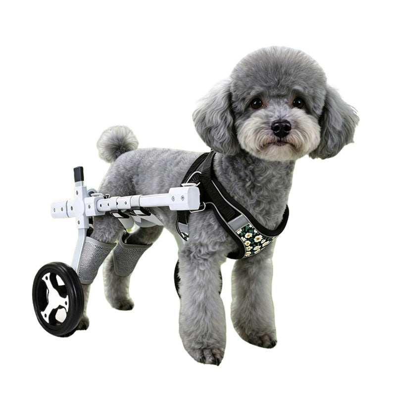 Woof Wheelchair